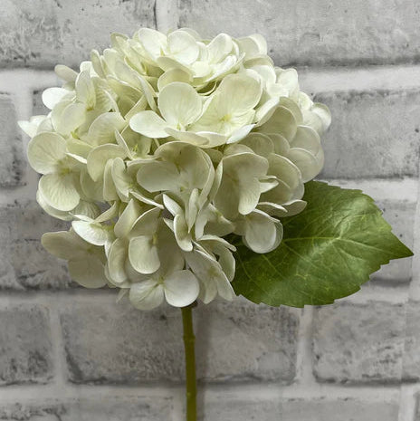 Cream Green Fresh Touch Hydrangea Stem 12"