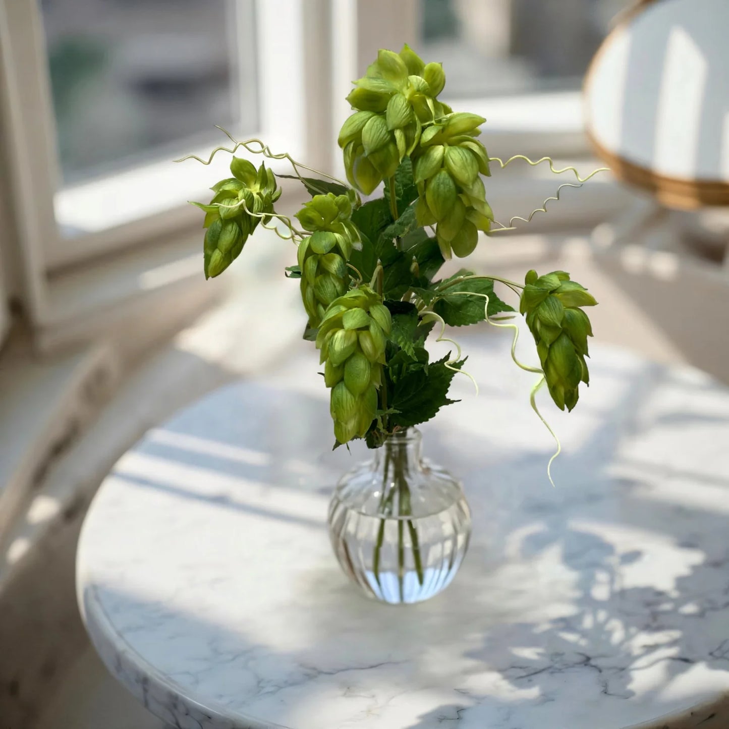 25.5" Fresh Touch Green Hops Bundle