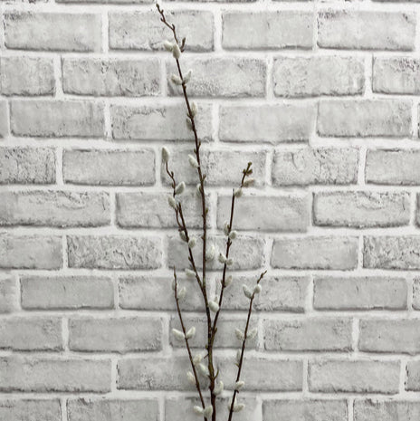 Pussy Willow 46"