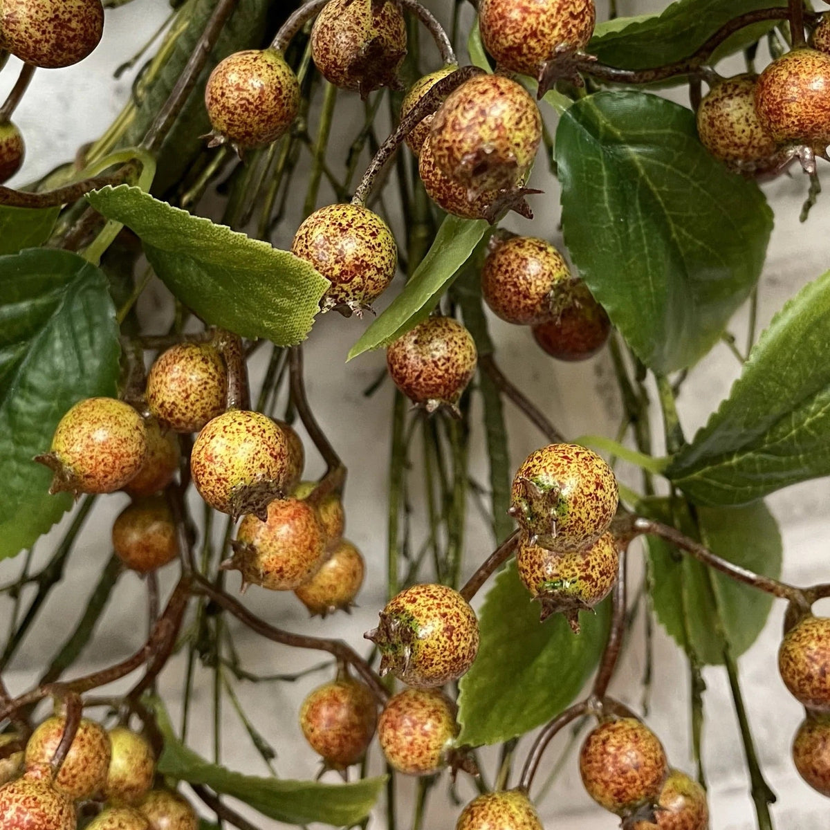 Fall Berry Wreath