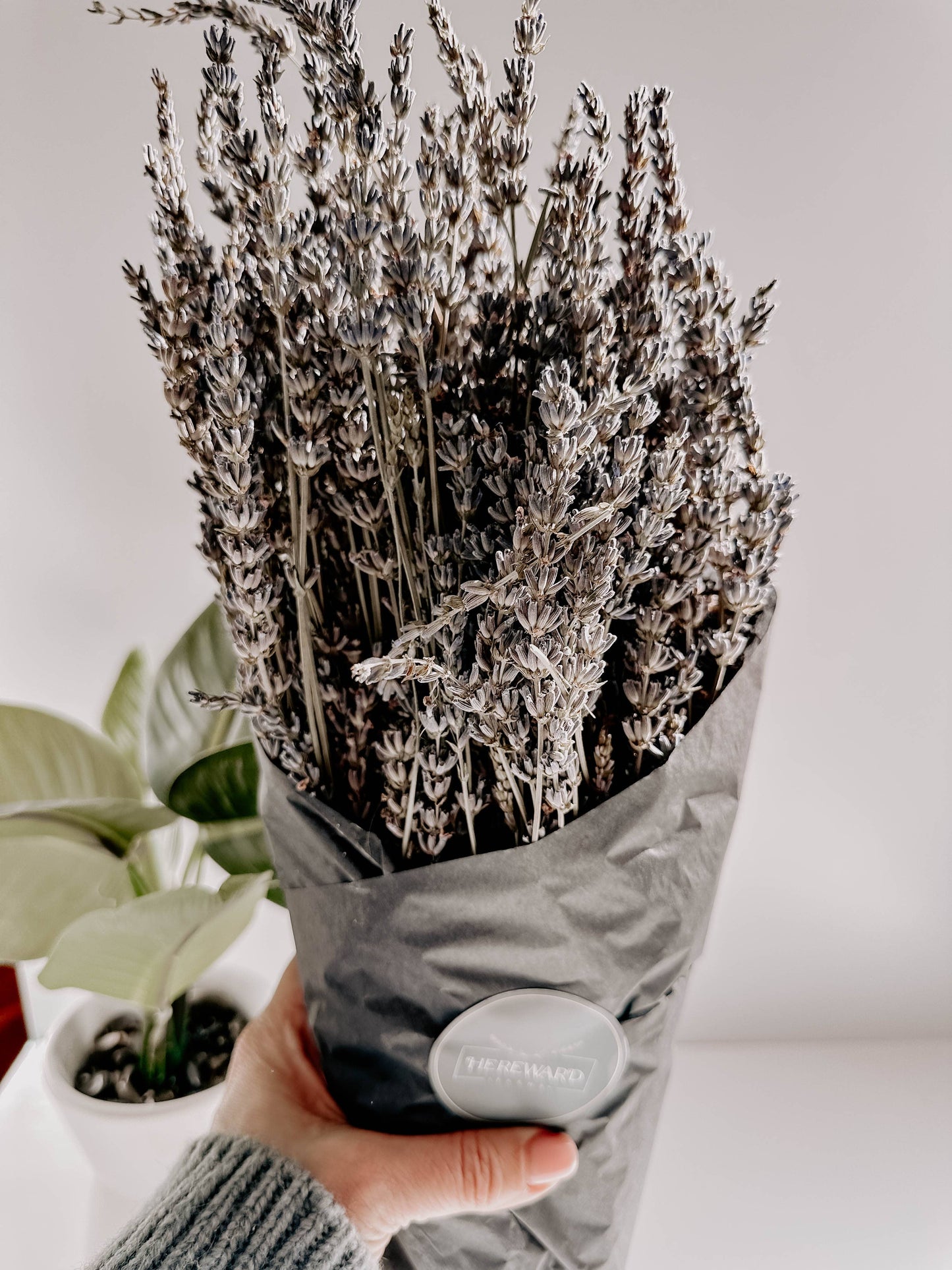 Dried French Lavender Bunch