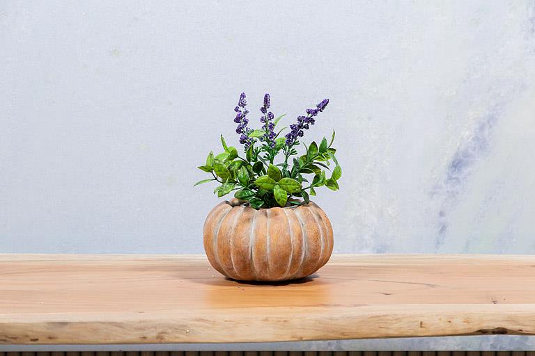 Small low pumpkin planter 5.5"