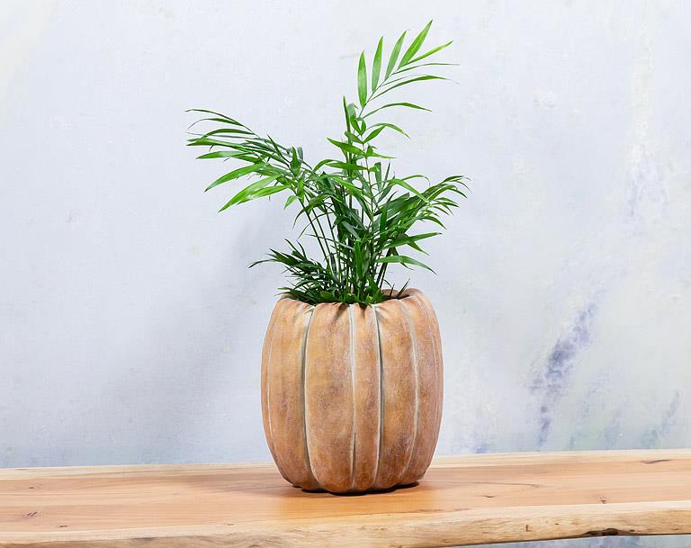 Large tall pumpkin planter 8.5"