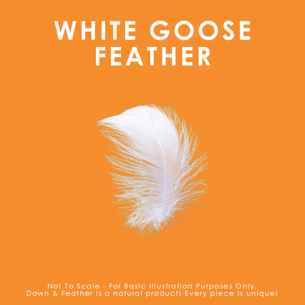 White Goose Feather Cushion