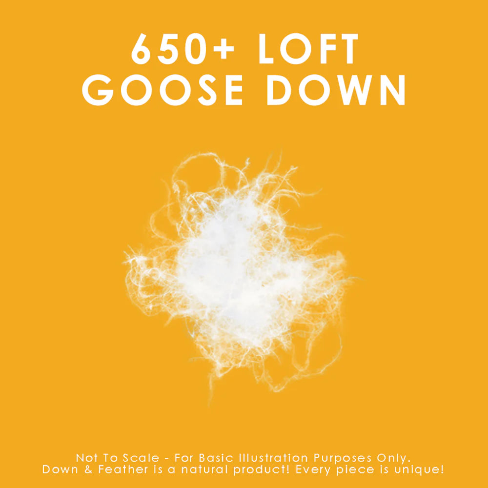 650 Loft White Goose Down Duvet Summer Weight