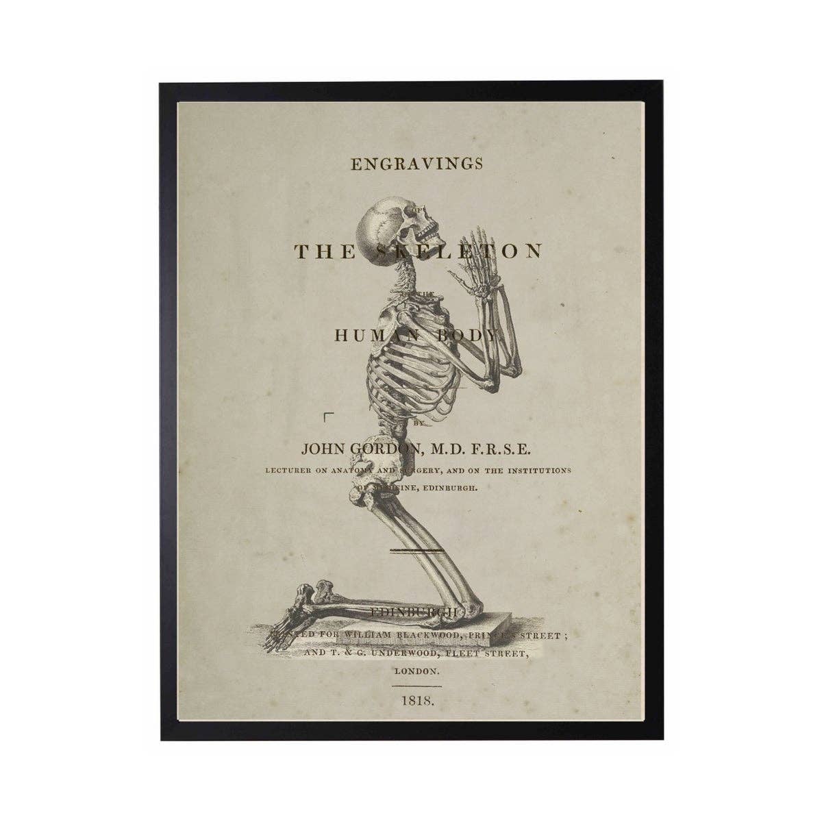 Praying Skeleton Poster 8" X 10"