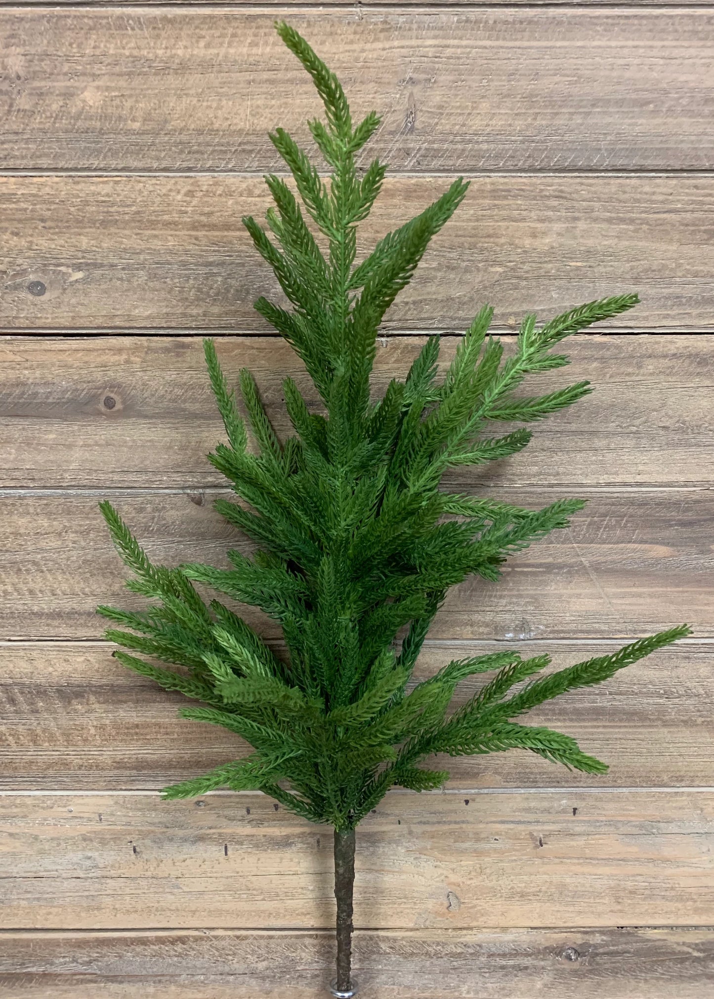 Fresh Touch Norfolk Pine Branch