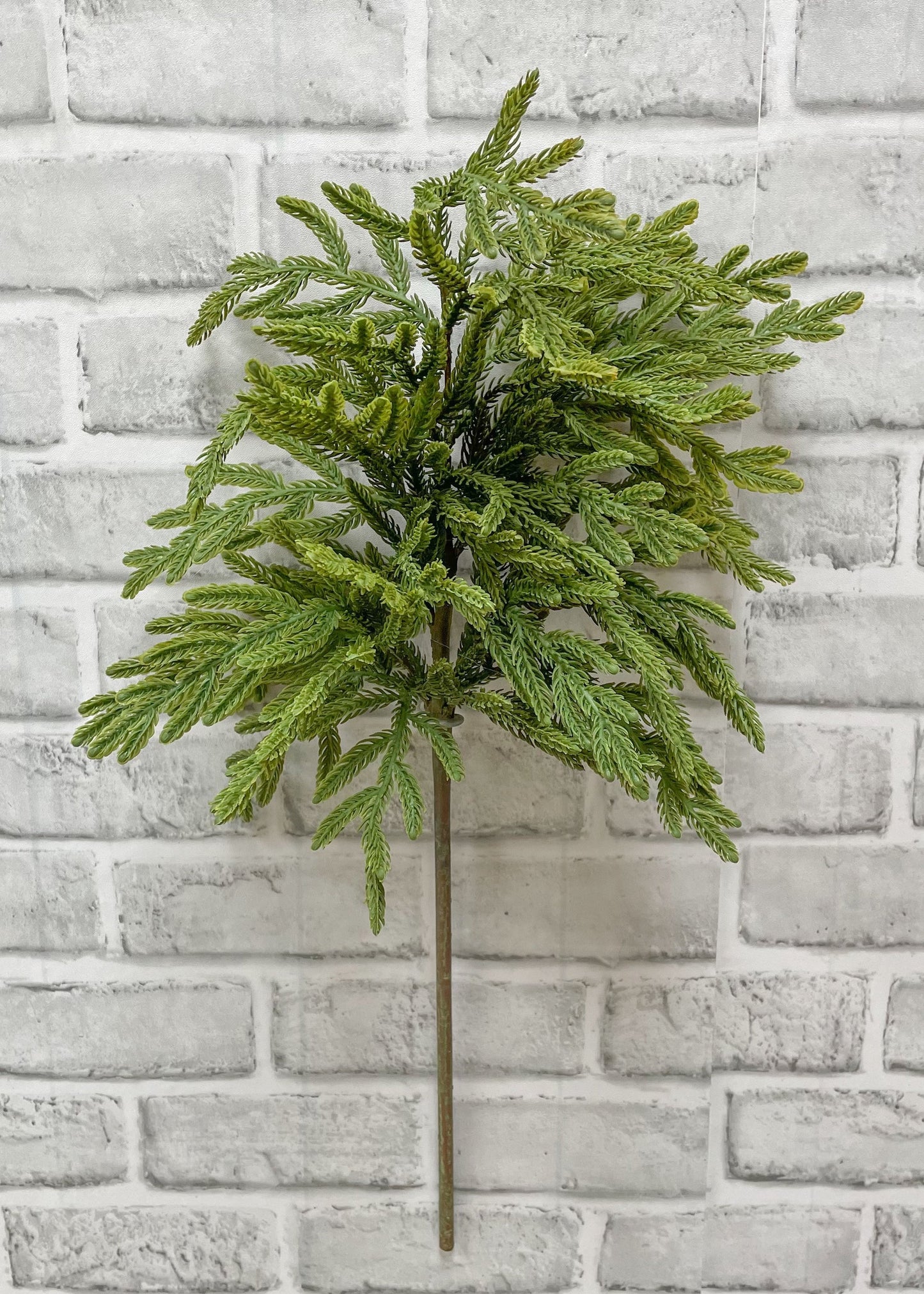 Fresh Touch Baby Norfolk Island Pine Spray 23"
