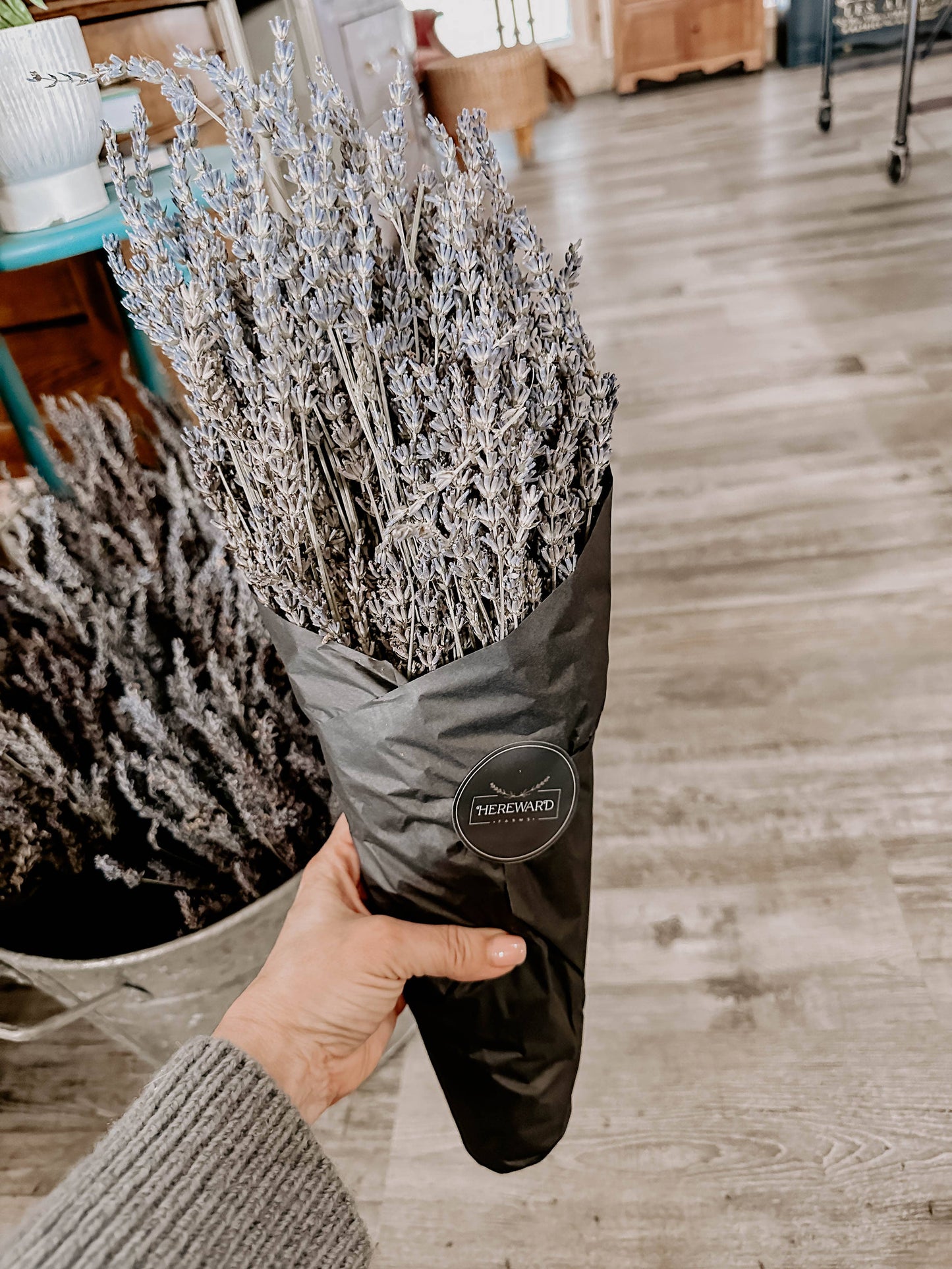 Dried French Lavender Bunch