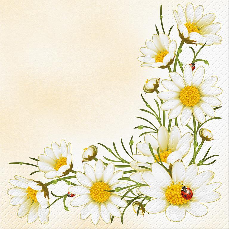 Lg Bouquet of Daisies Napkins 20Pk