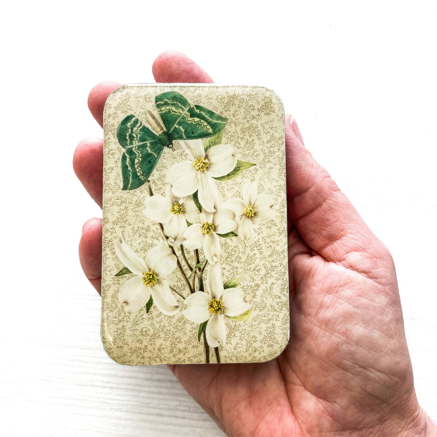 Green Moth and Dogwood Notions Tin