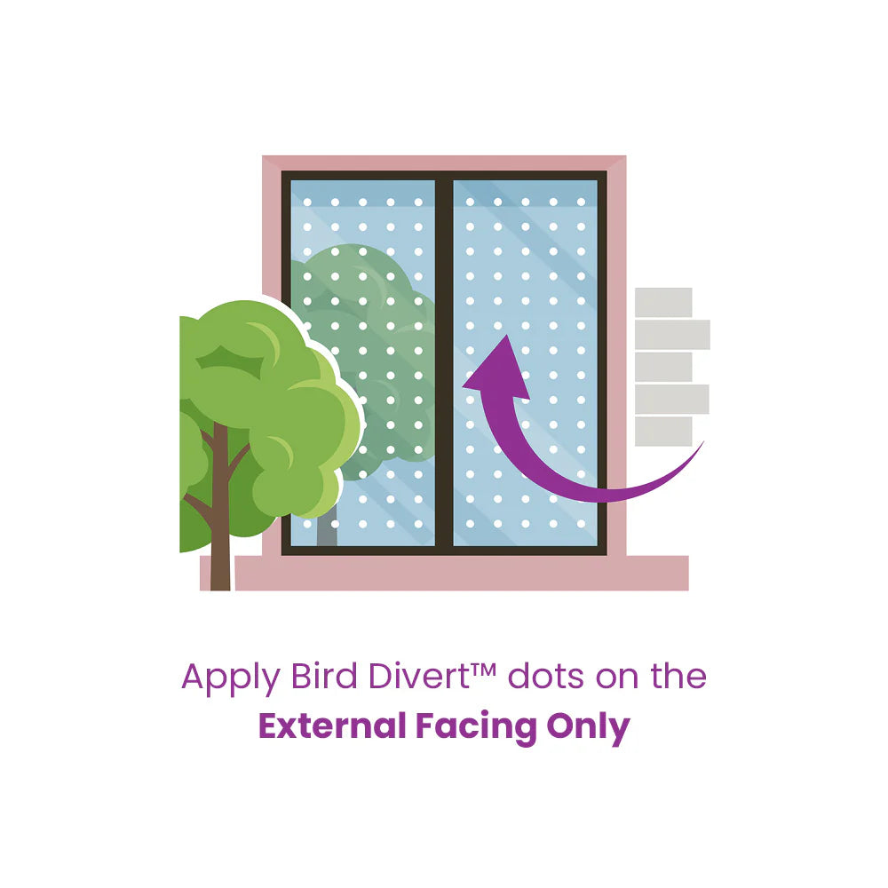 Feather Friendly Bird Divert