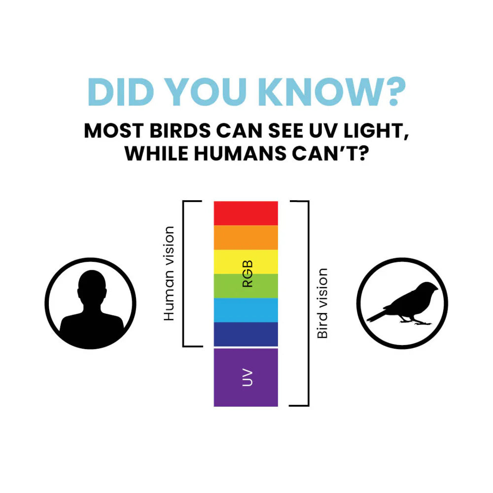 Feather Friendly Bird Divert