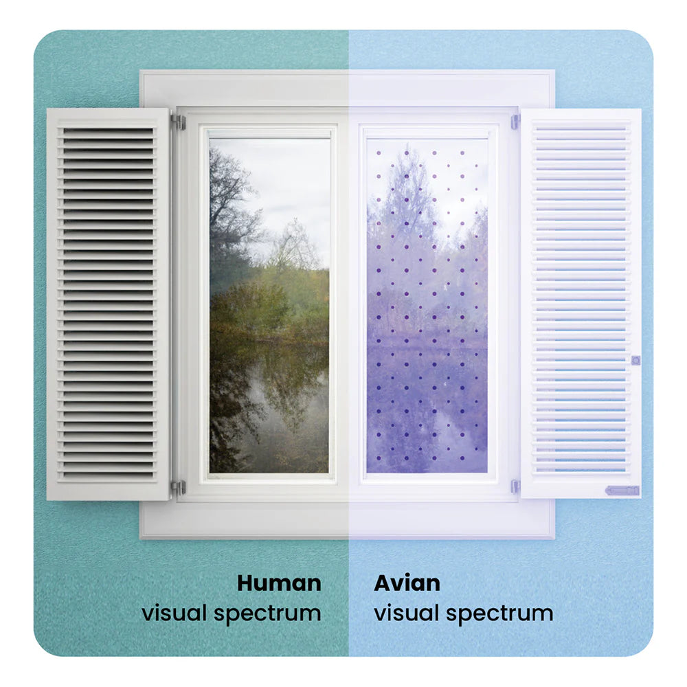 Feather Friendly Bird Divert