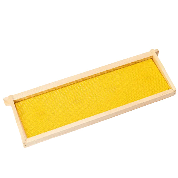 Medium Frame with Yellow Canacell Foundation