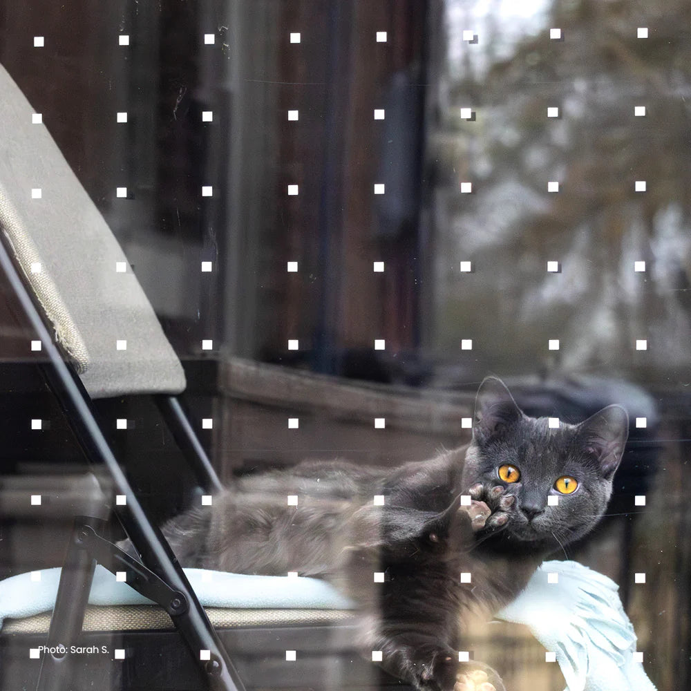 Feather Friendly DIY White 1/4" x 100'