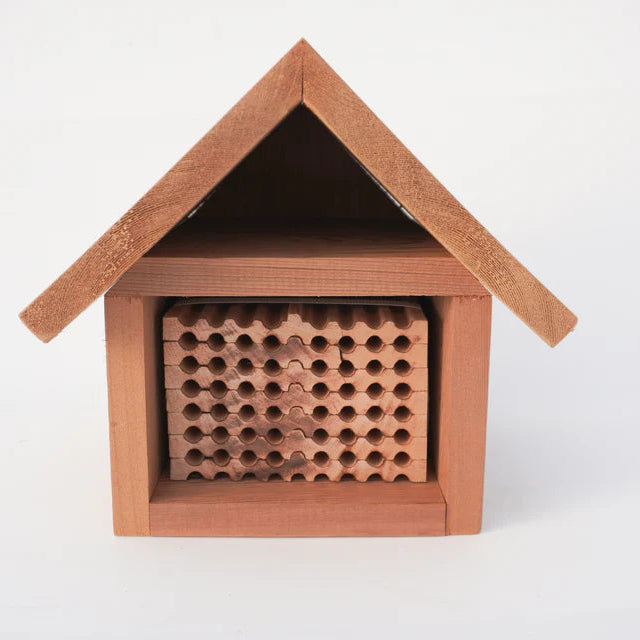Mason Bee Chalet (PRE-ORDER)