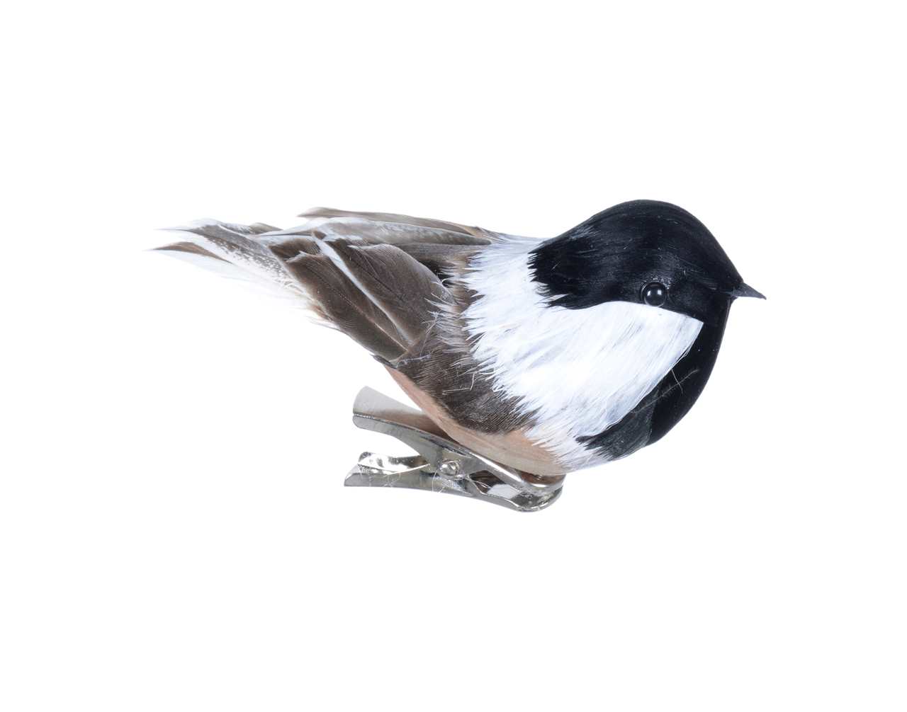 Feathered Chickadee /on clip