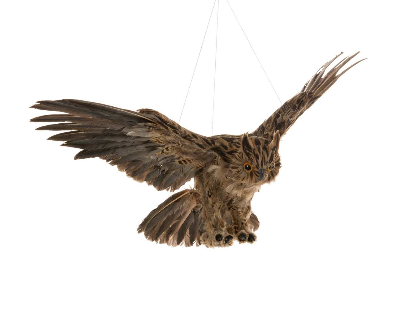 Feathered Barn Owl 27.5"