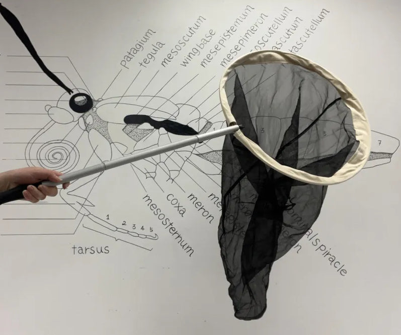 18" Field Insect Net Kit