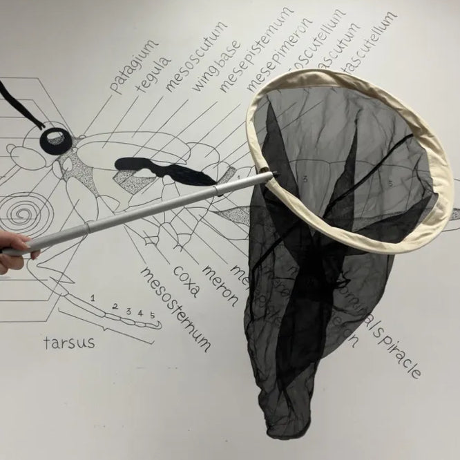 18" Field Insect Net Kit