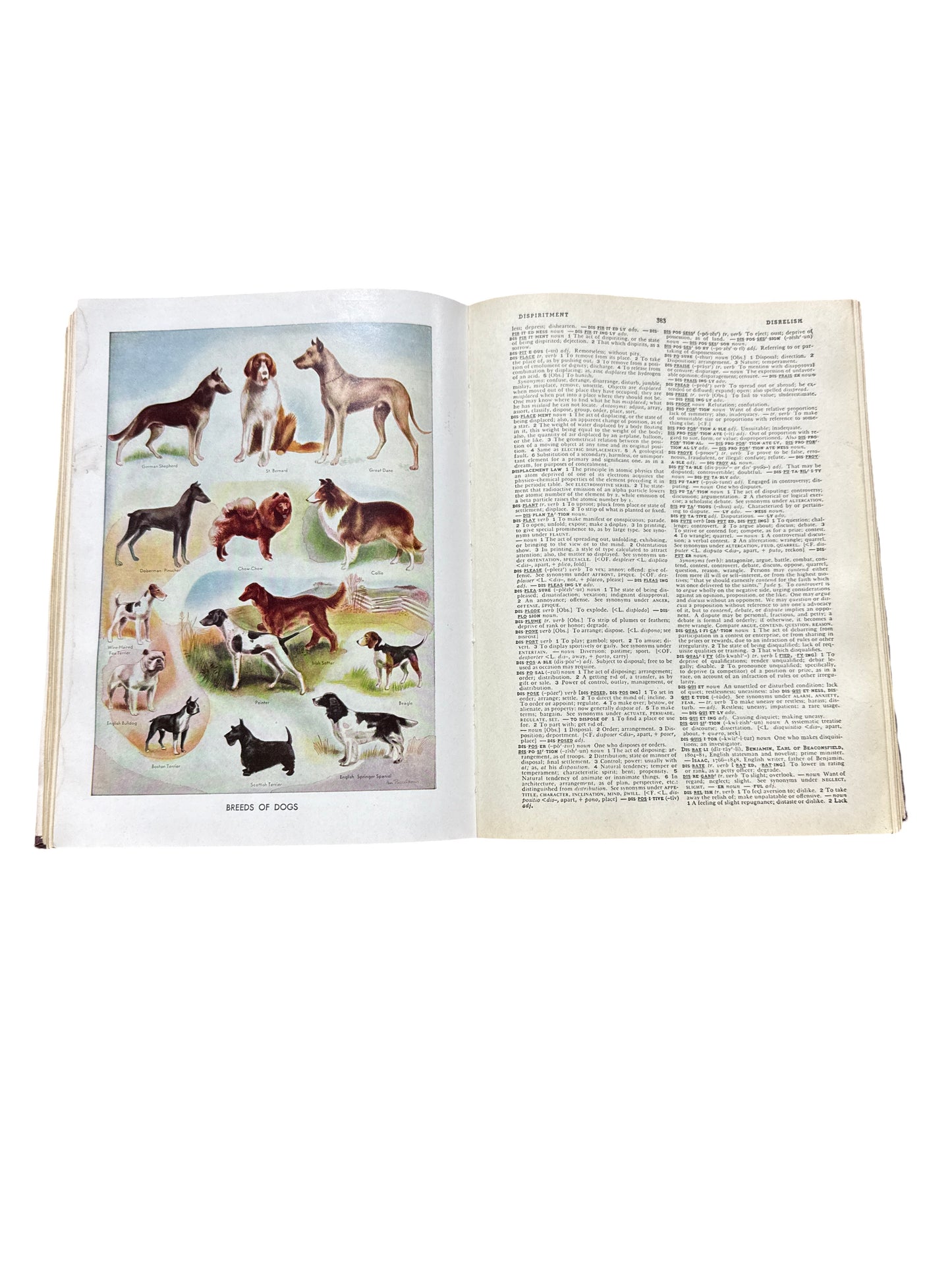 Vintage Funk & Wagonalls New Practice Std Dictionary