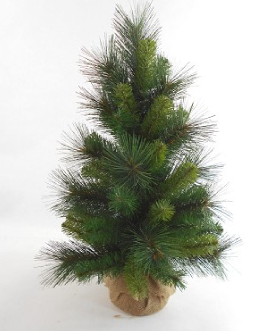 26" mixed pine burlap tree