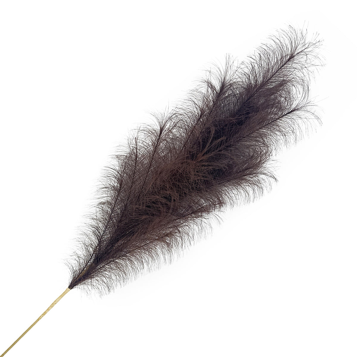 Faux Pampas Grass Spray - Dark Brown