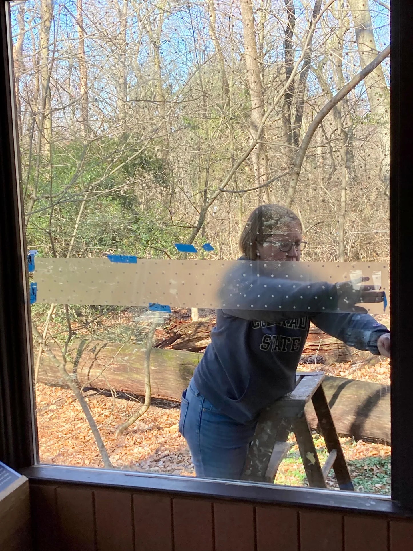 Feather Friendly Pro DIY Melody 6" x 150' White