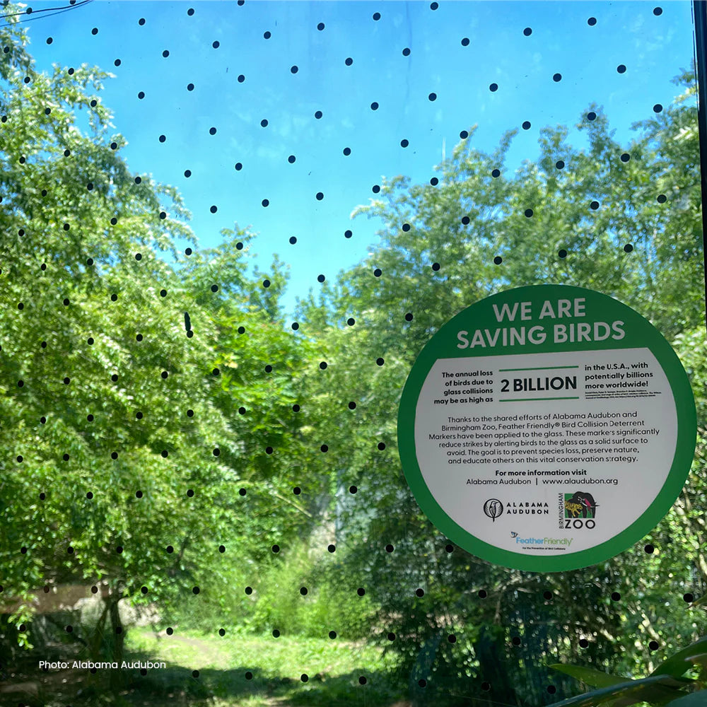 Feather Friendly Pro DIY Melody 6" x 150' Black