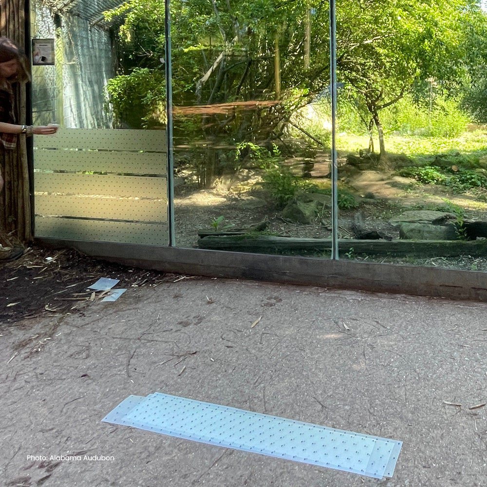 Feather Friendly Pro DIY Melody 6" x 150' Black