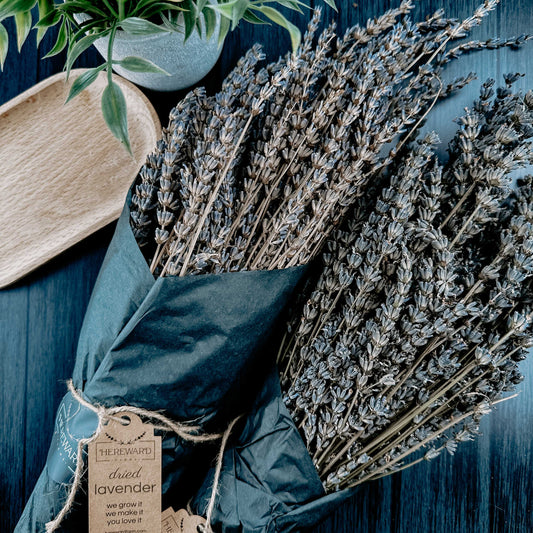 Dried French Lavender Bunch