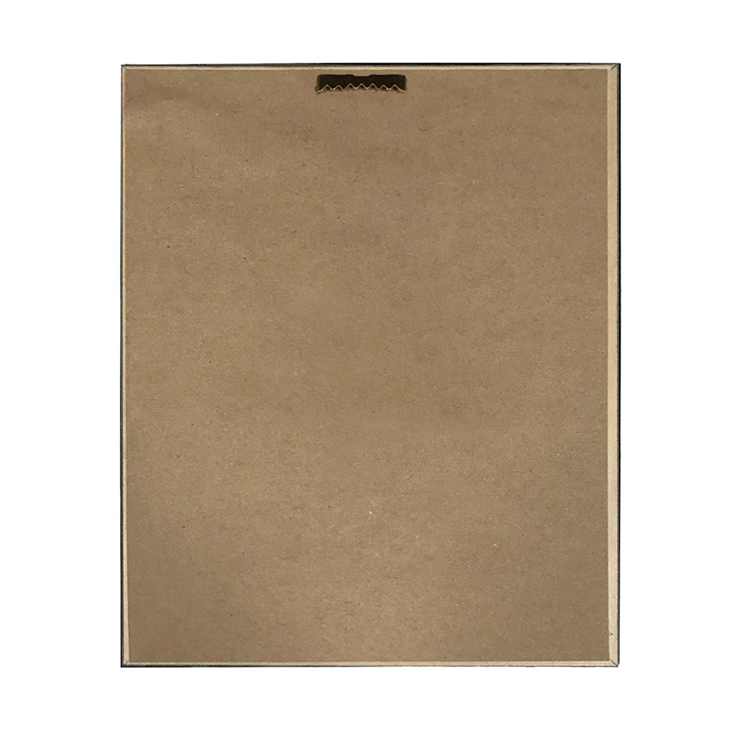 Framed Declaration of Independence