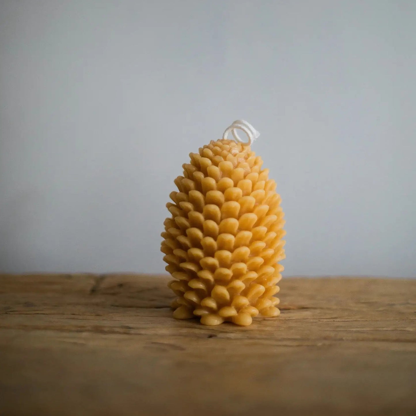 Pinecone Beeswax Candle