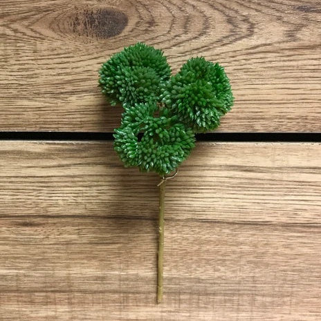 9" Green Fresh Touch Sedum pick