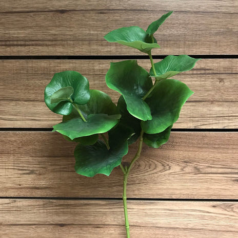 Sea grape spray 28"