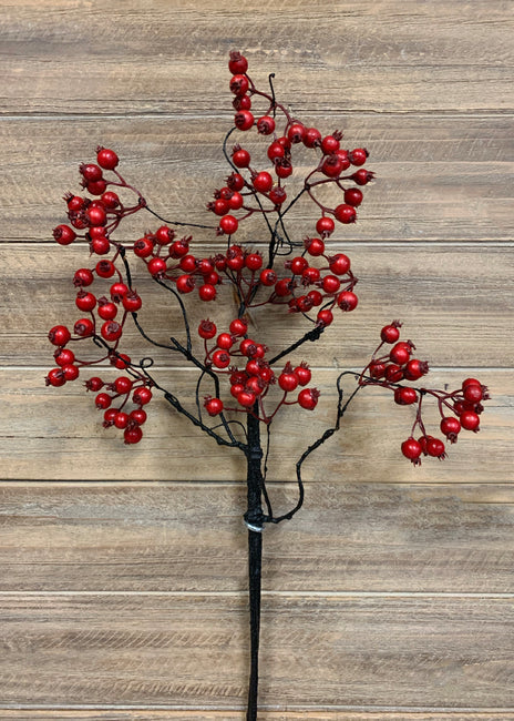 Red Berry Weather Resist Spray 26"