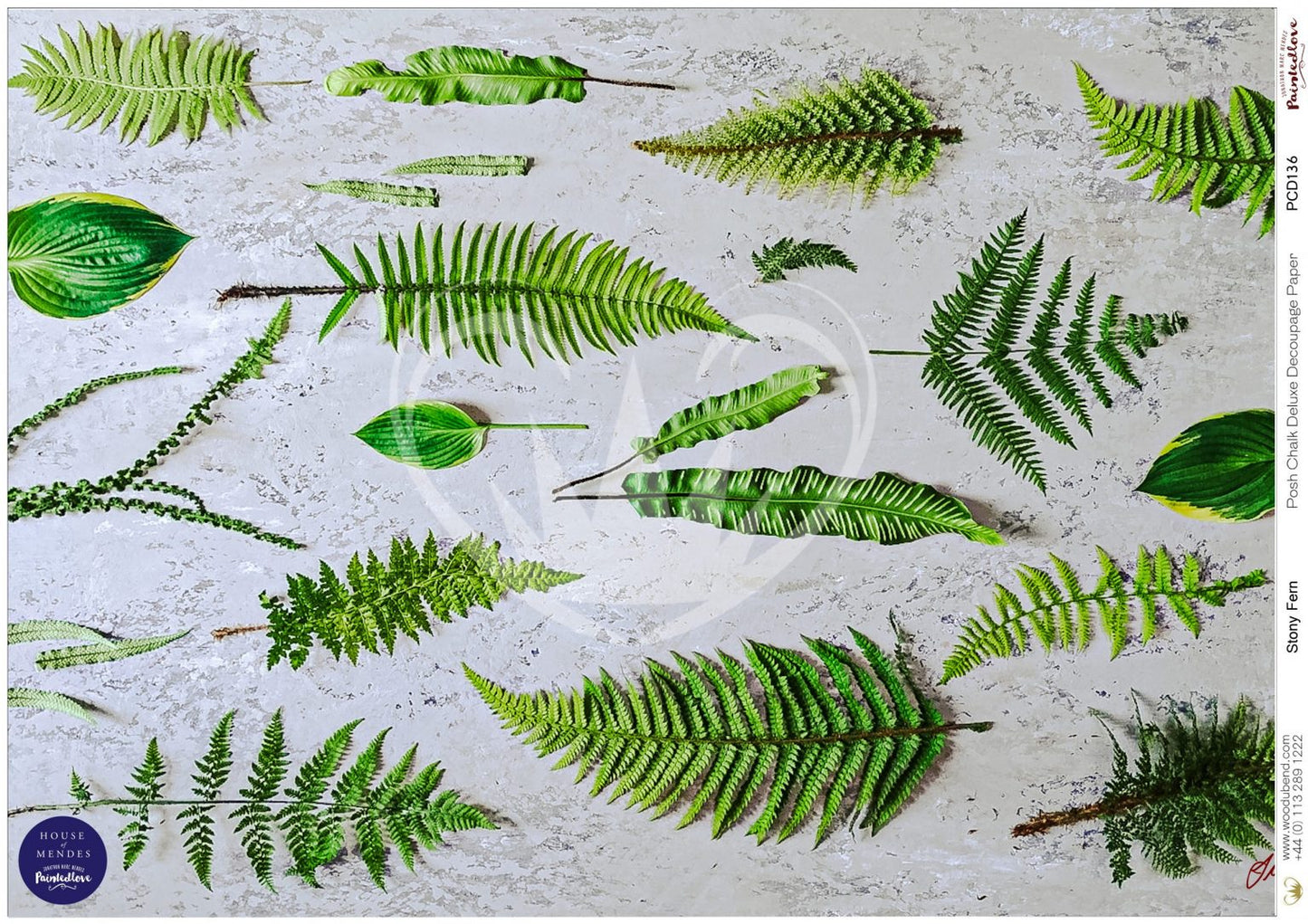 Stony Fern A1 post chalk deluxe decoupage house of mendes
