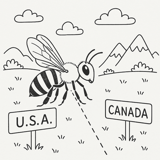 Import queens, nucs or packages from the US?