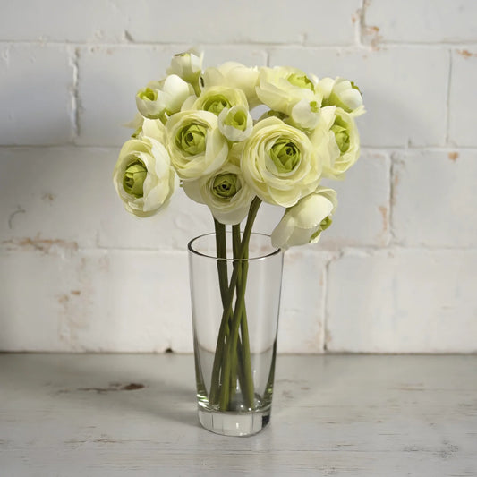 11" Green Ranunculus