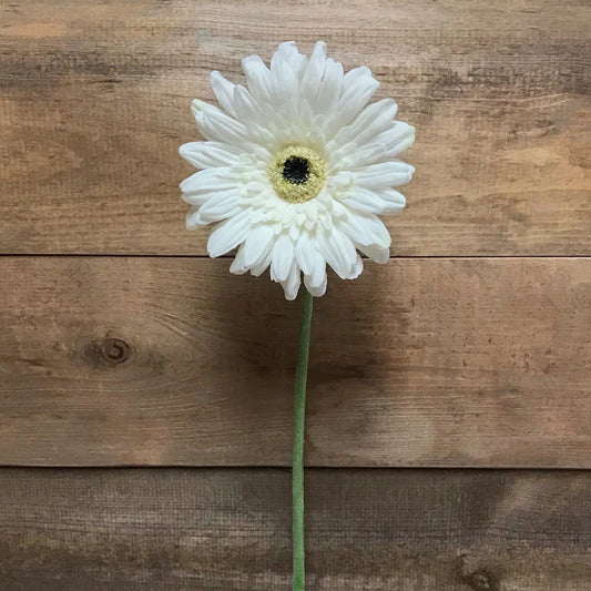 25" White Fresh Touch Gerbera