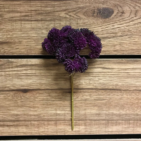 9" Purple Fresh Touch Sedum pick