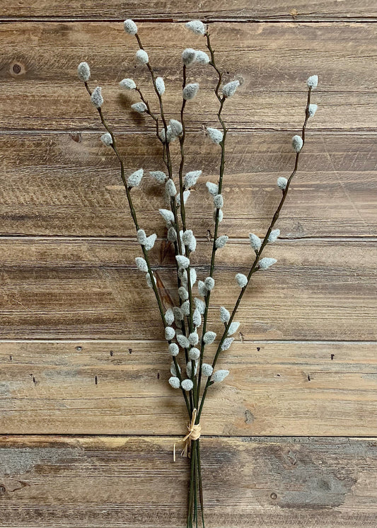 Pussy Willow Bundle 19"