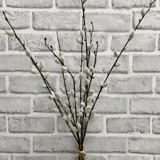 Pussy Willow Bundle 21.5"