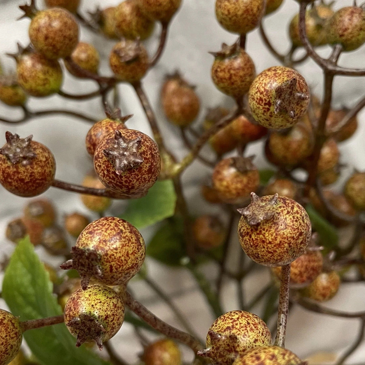 Fall Berry Bundle with 5 Stems