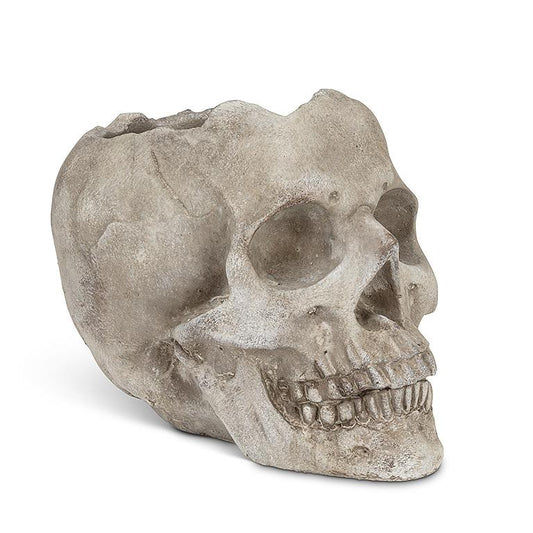 Skull Planter 5"