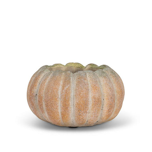 Small low pumpkin planter 5.5"