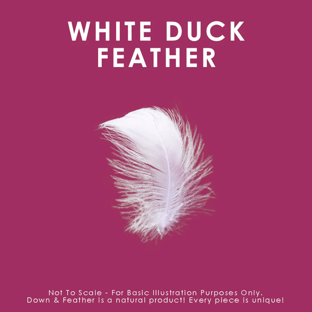 White Duck Feather Cushion
