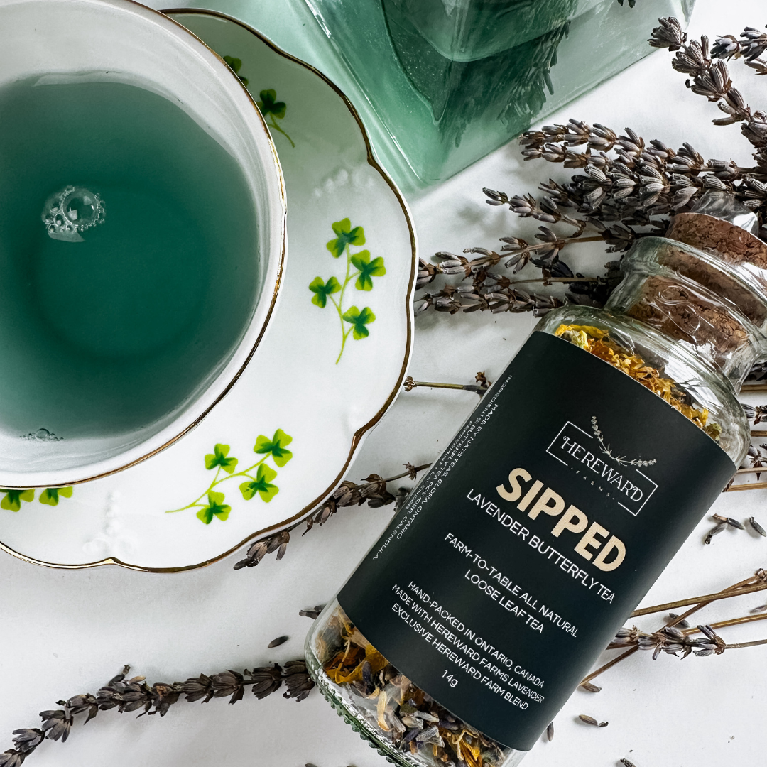 Herbal Tea Sipped Lavender Herbal Tea