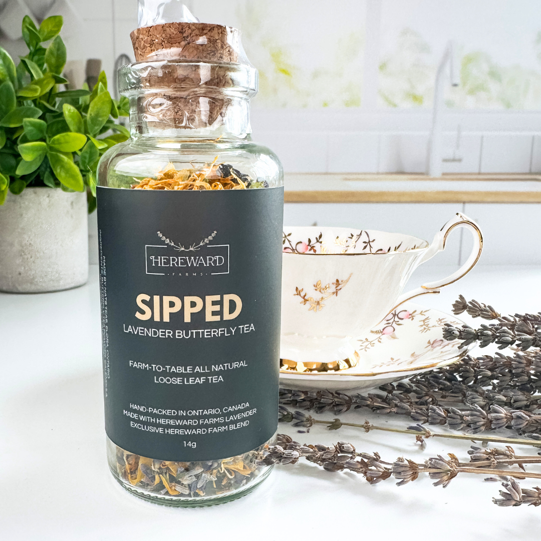 Herbal Tea Sipped Lavender Herbal Tea